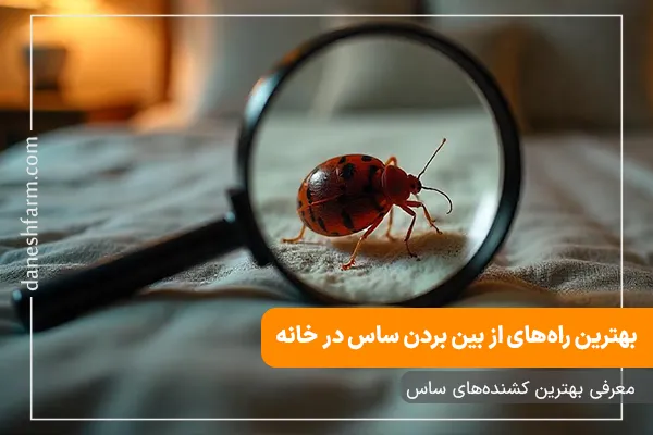راه های از بین بردن ساس