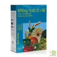 کود NPKing 10.40.10 ایتالیا