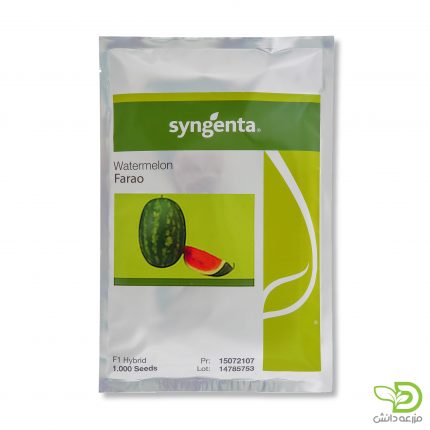 بذر هندوانه فارائو سینجنتا