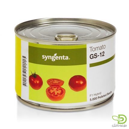 بذر گوجه جی اس 12 (GS12) سینجنتا