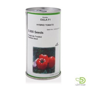 بذر گوجه اولا سمینیس