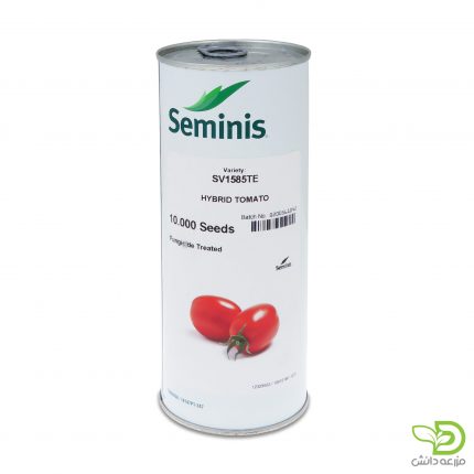 بذر گوجه 1585 (SV1585TE) سمینیس