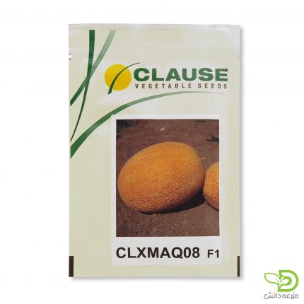 بذر خربزه آناناسی 08 (CLXMAQ08) کلوز