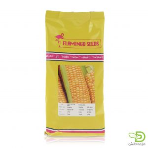 بذر ذرت شیرین براتلا (سوپر سوئیت)