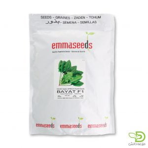 بذر اسفناج بیات