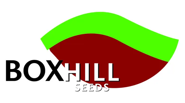 باکسهیل-BOXHILL Seeds