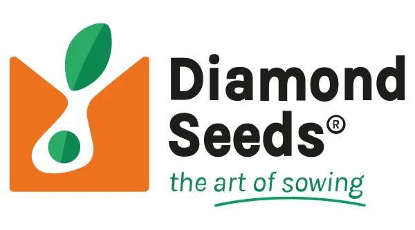 دیاموند سیدز-DIAMOND Seeds