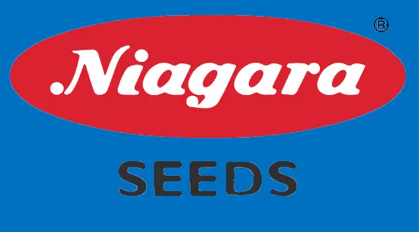 نیاگارا سیدز (Niagara Seeds)