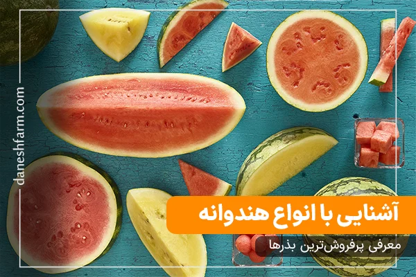عکس انواع هندوانه انواع هندوانه در ایران