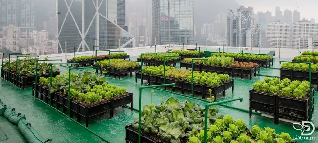 آینده کشاورزی شهری