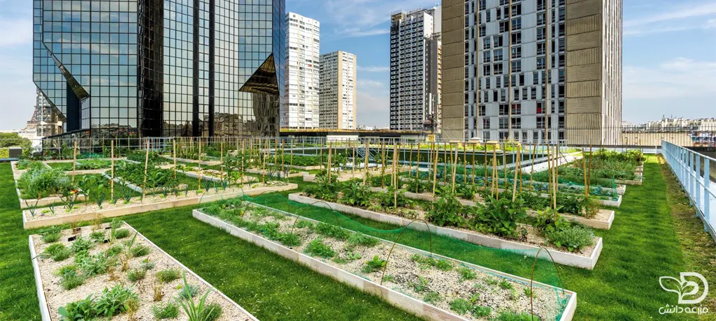 کشاورزی شهری چیست
