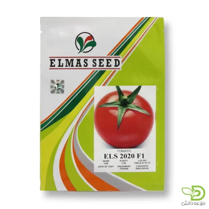 بذر گوجه ELS 2020 الماس سید