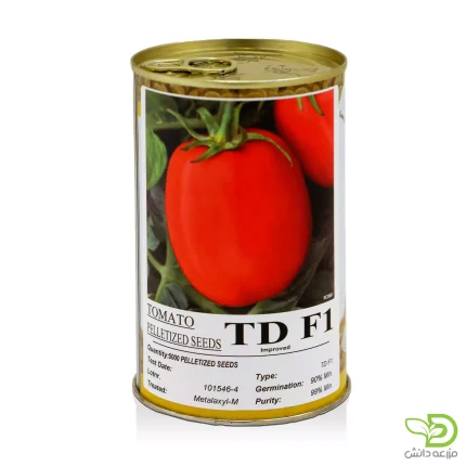 بذر گوجه فرنگی تی دی TD