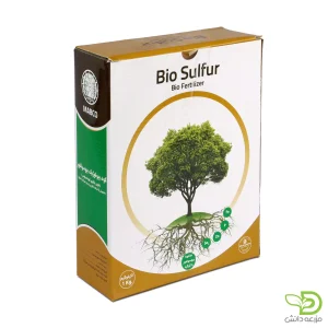 کود بیولوژیک بیوسولفور (باکتری تیوباسیلوس)