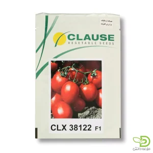 بذر گوجه CLX 38122 کلوز