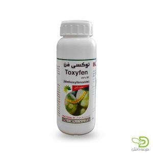 توکسی فن رها اندیش