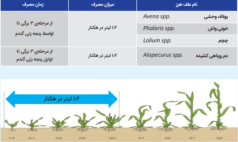 علفکش تراکسوس