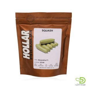 بذر کدو خورشتی الکساندریا