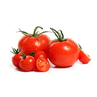 خرید بذر گوجه فرنگی