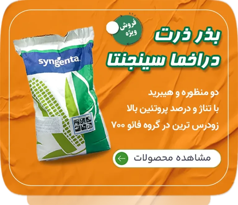 بذر ذرت دراخما سینجنتا