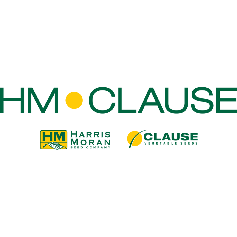 hm-clouse-color