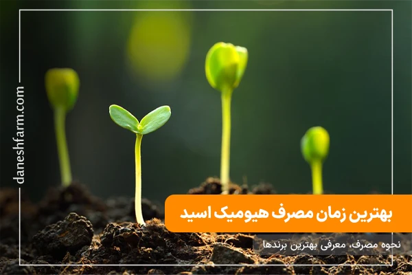 زمان مصرف هیومیک اسید نحوه مصرف هیومیک اسید معرفی بهترین کودهای هیومیک اسید