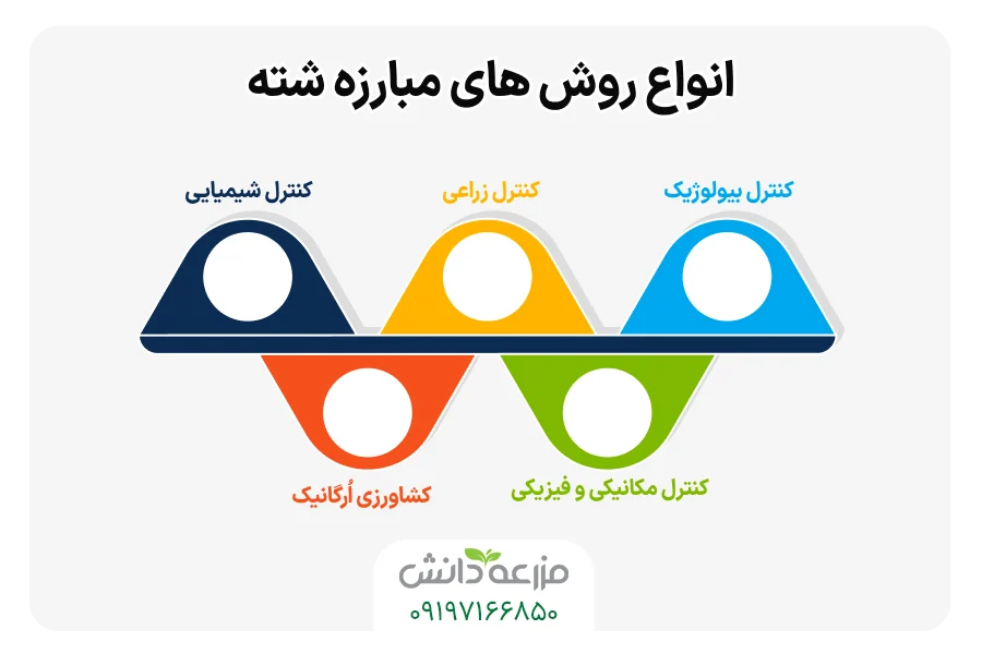 انواع روش های مبارزه شته
بهترین سم شته