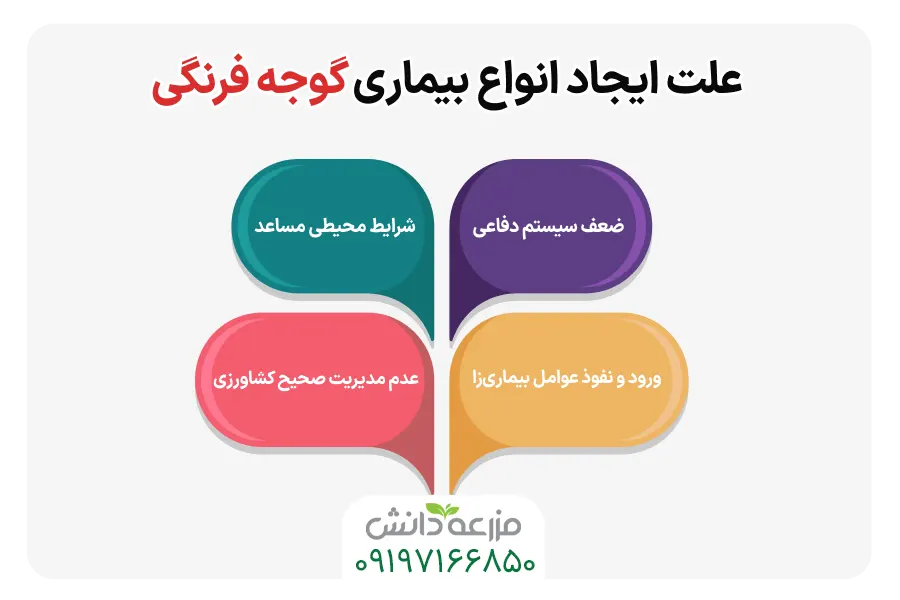 علت ایجاد انواع بیماری گوجه فرنگی 