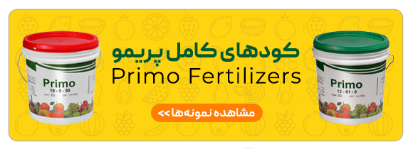 مزرعه دانش