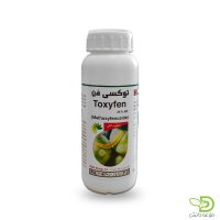 توکسی فن رها اندیش